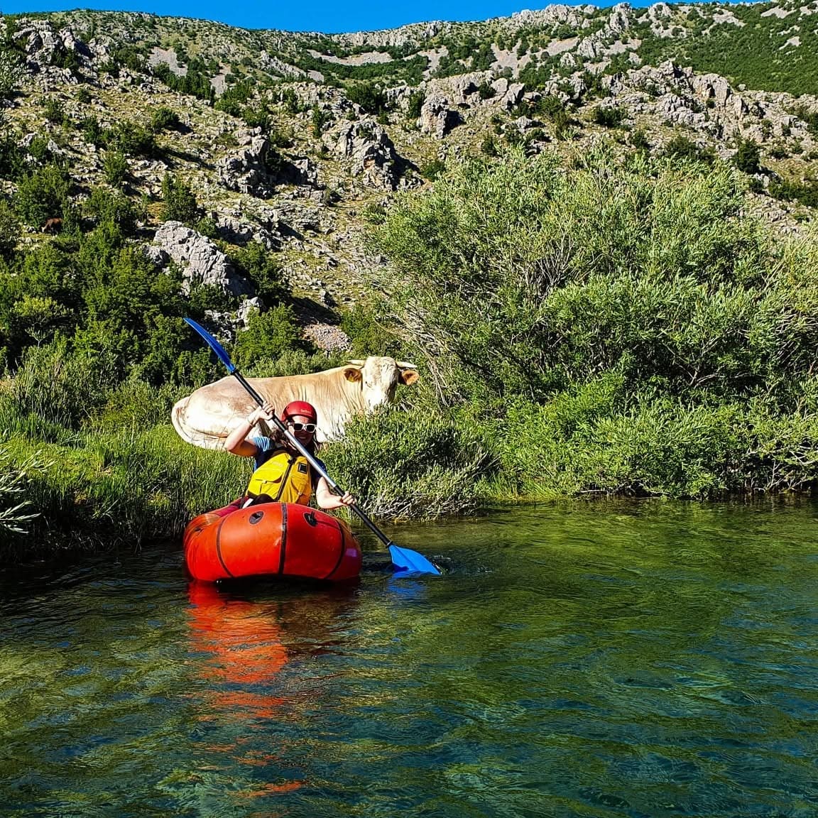 canyon krupa kayak