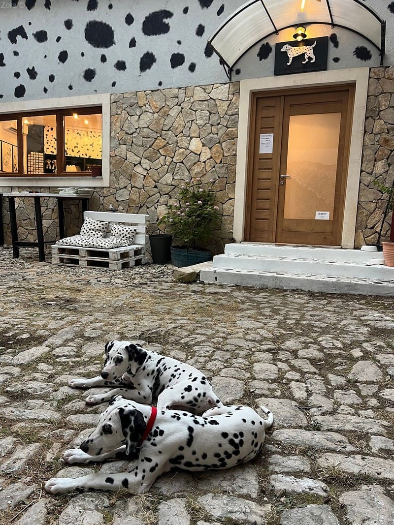 entrée du mmusée du chien dalmatien sibenik