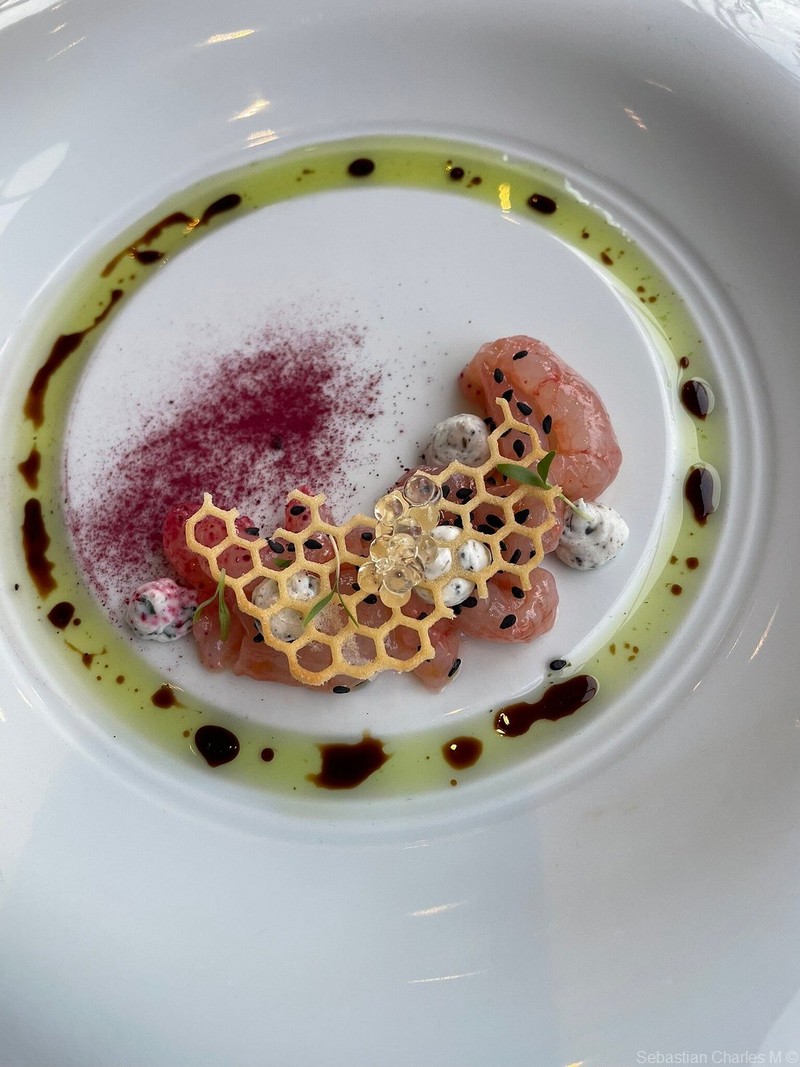 il ponte tartare de poissons