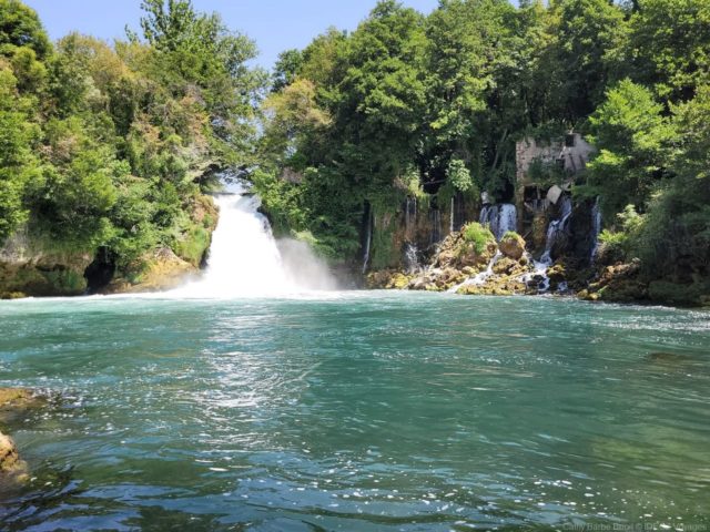 krka biluscica buk