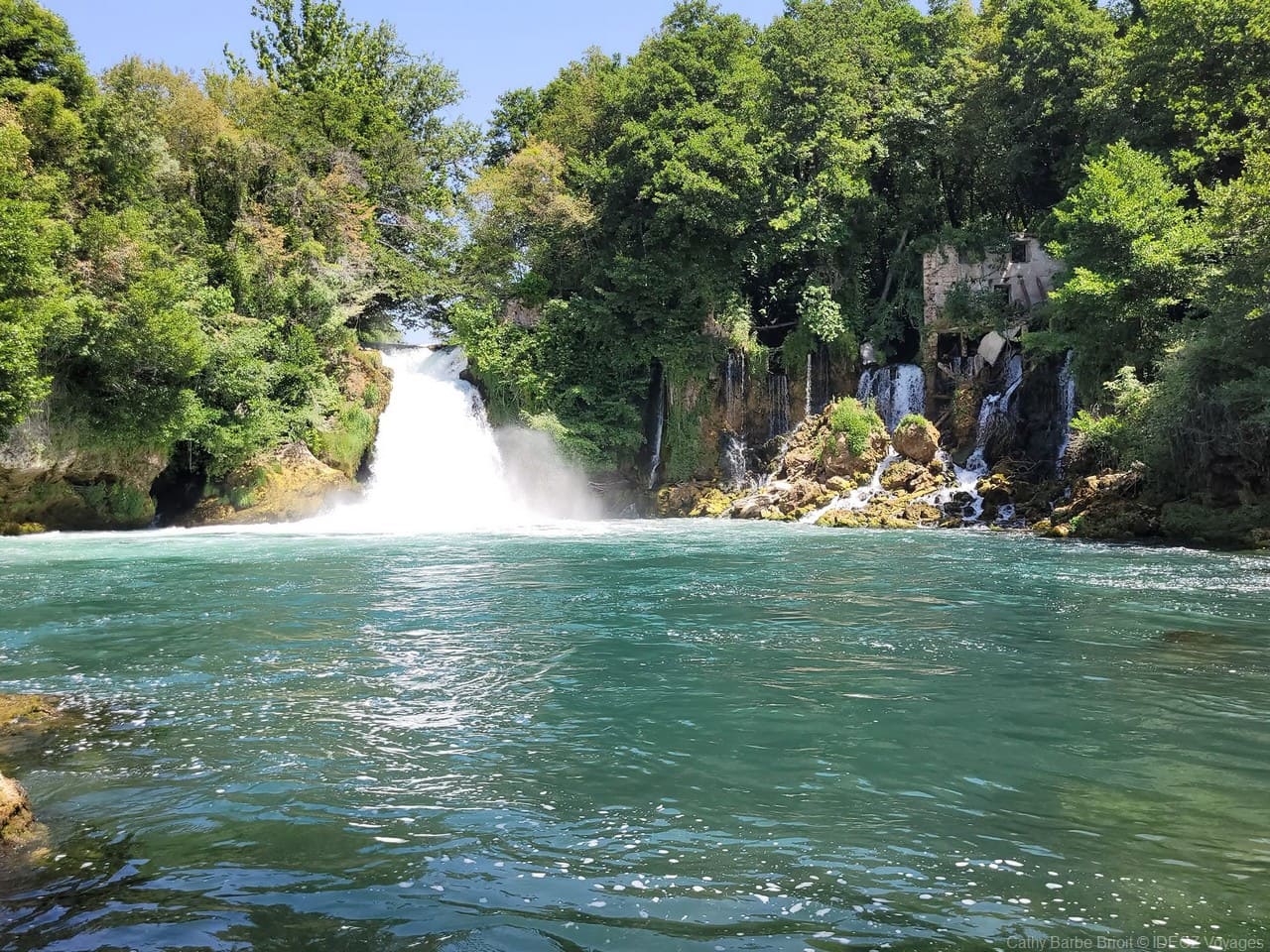 krka biluscica buk