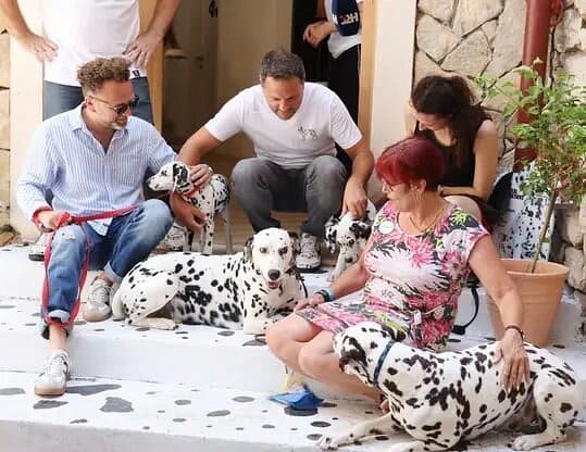 musée du chien dalmatien sibenik