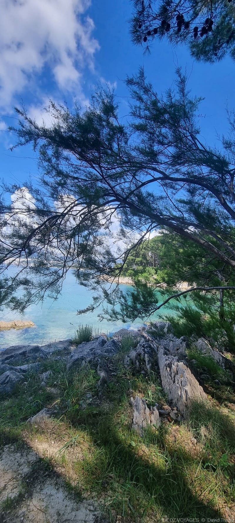 parc marjan arbres et mer