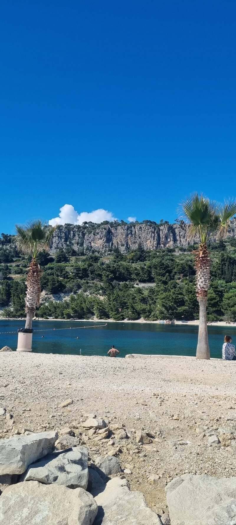 plage de split parc marjan palmiers