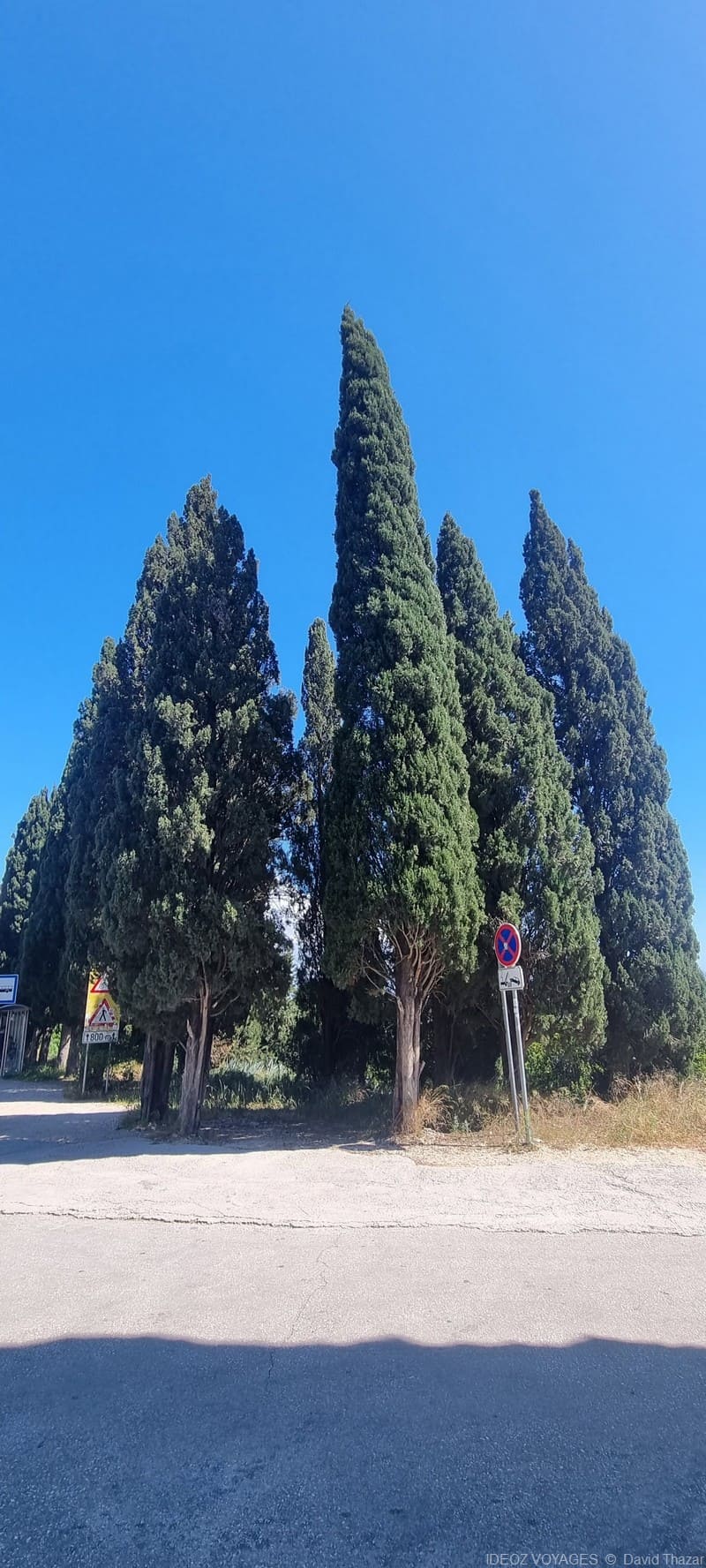 vue des ciprès parc marjan
