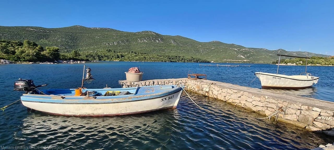 barques dans la baie de ston