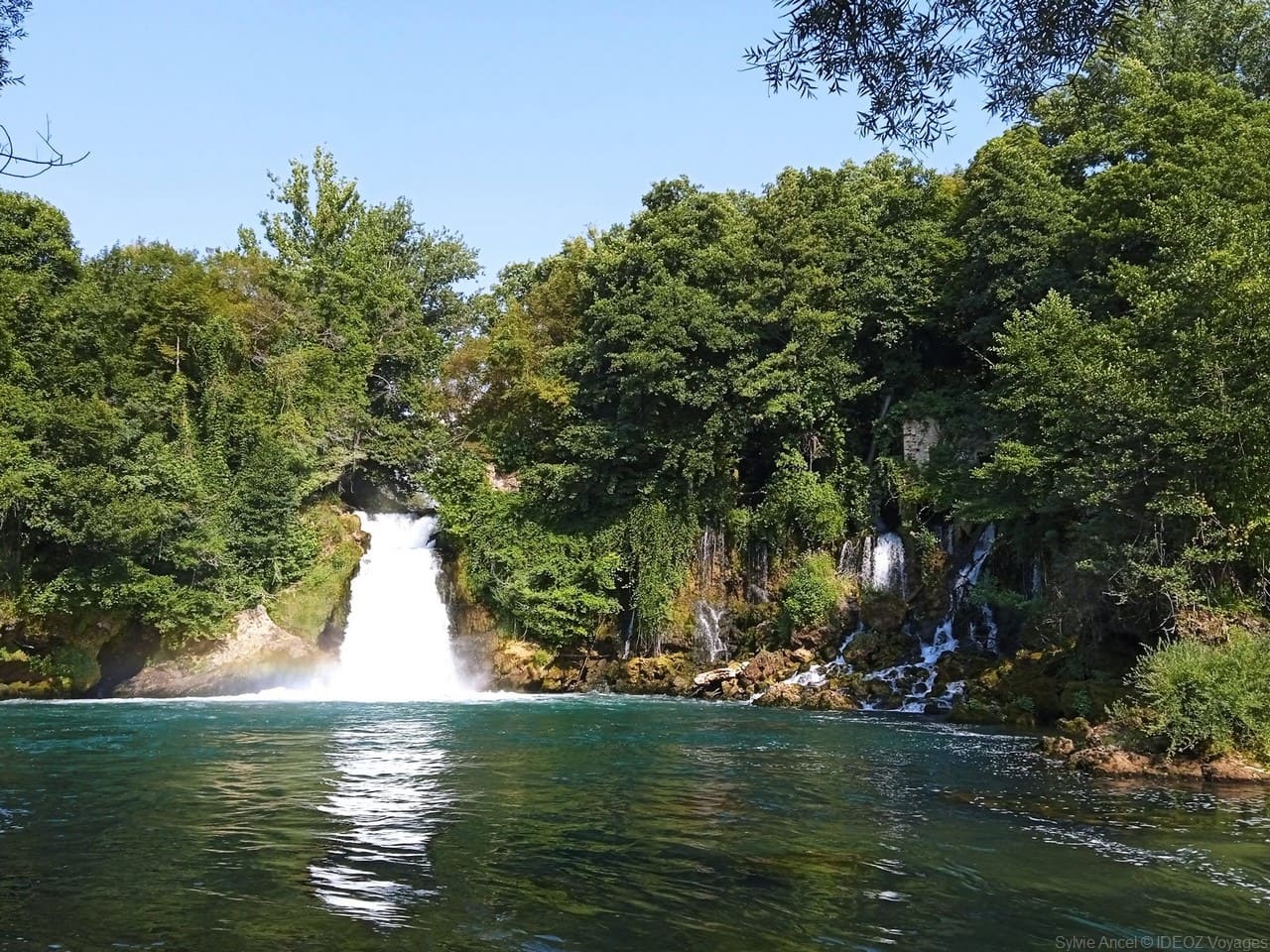 bilusica buk en été