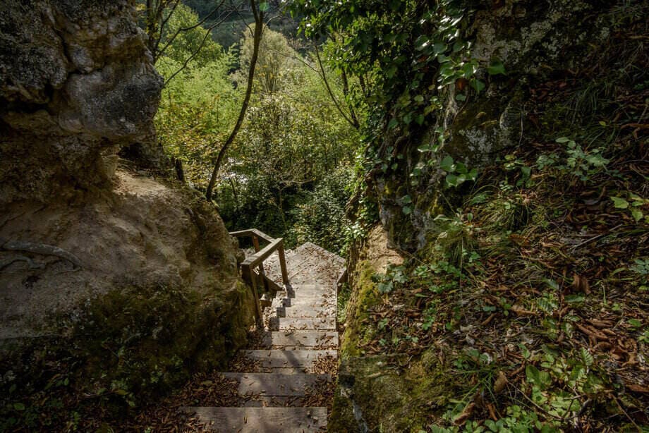 bilusica buk sentier (1)