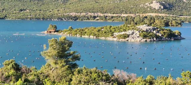 parcs à huitres ston
