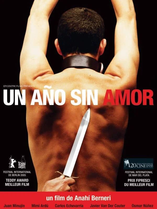 un año sin amor affiche (1)