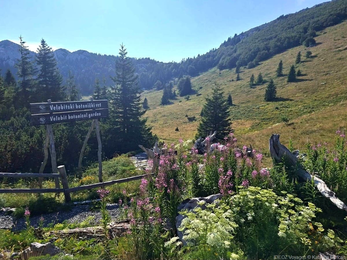 velebit jardin botanique