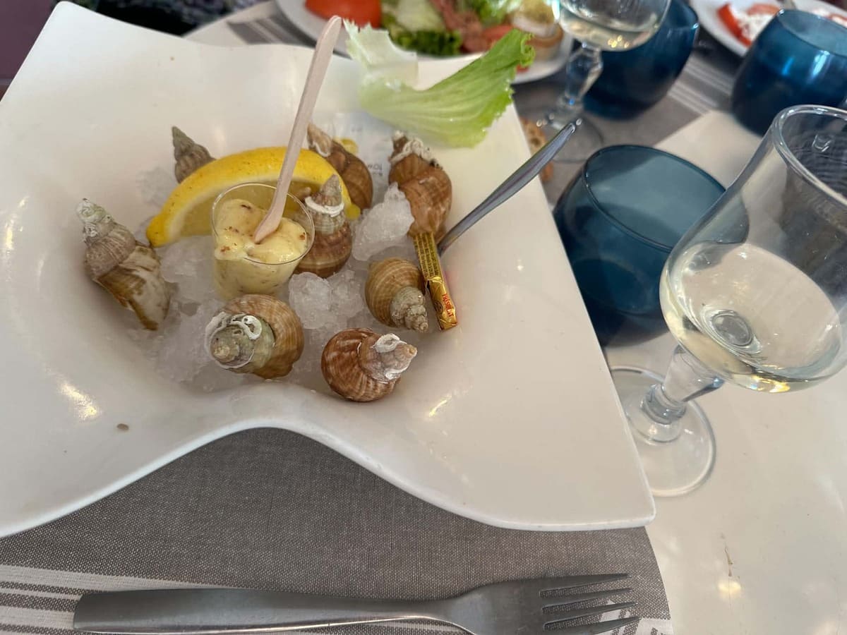 bulots le lamparo port la nouvelle