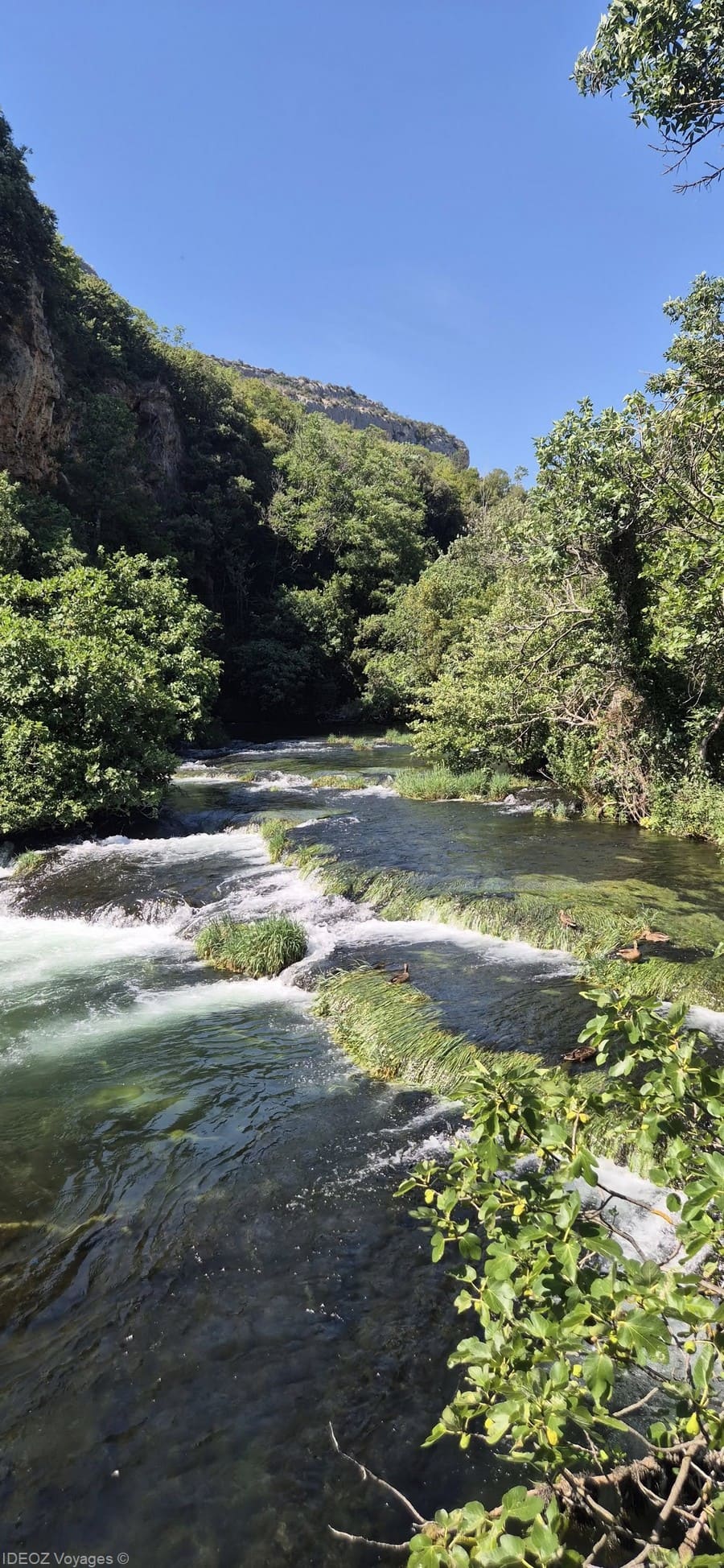 Petites cascades successives entre les herbes dans la rivière Krka