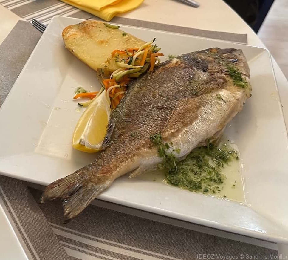 daurade le lamparo port la nouvelle