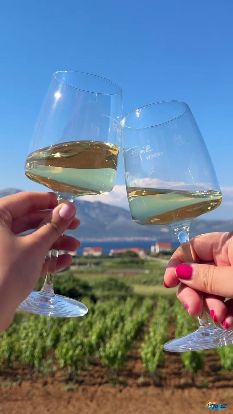 Dégustation de vin au domaine Popić à Lumbarda sur l'île de Korčula