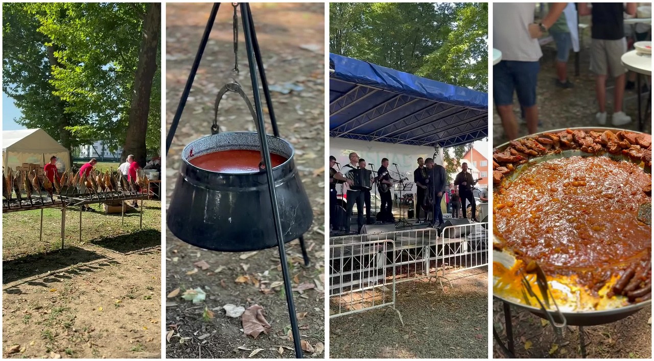 Poissons grillés et fiš paprikaš cuisiné au chaudron lors de la Fišijada de Požega
