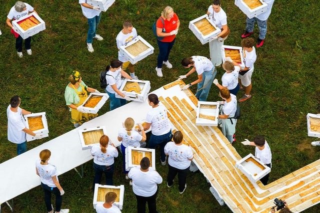 Préparation de la ligne de štrudle du record Guinness au Štrudlafest de Jaškovo