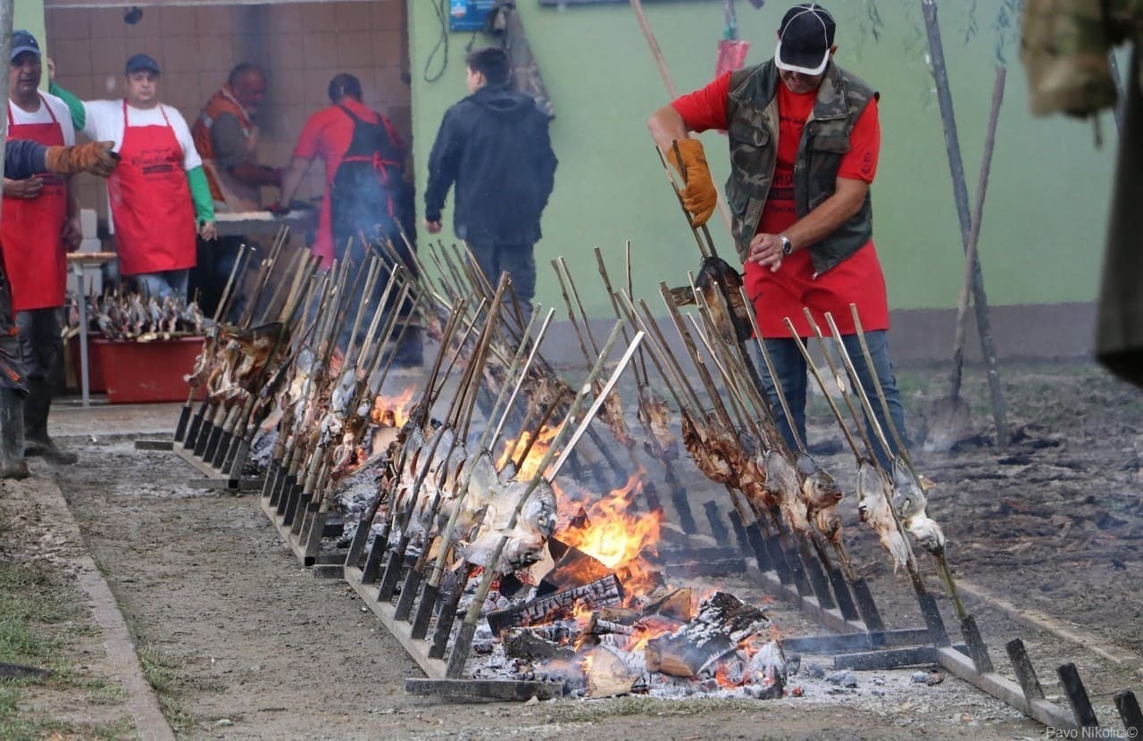 ribarski dani kopacevo préparation des poissons embrochés sur les piques selon la méthode de barbecue traditionnelle en slavonie