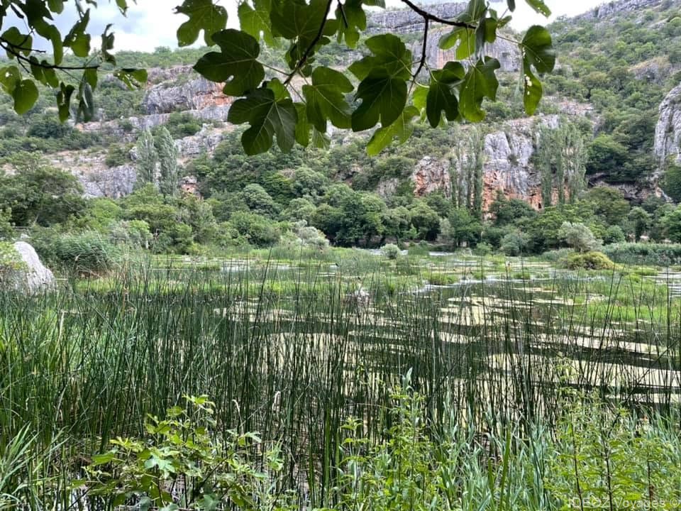 Roseaux au bord de l’eau, arbres et falaises rocheuses dans le parc de Krka