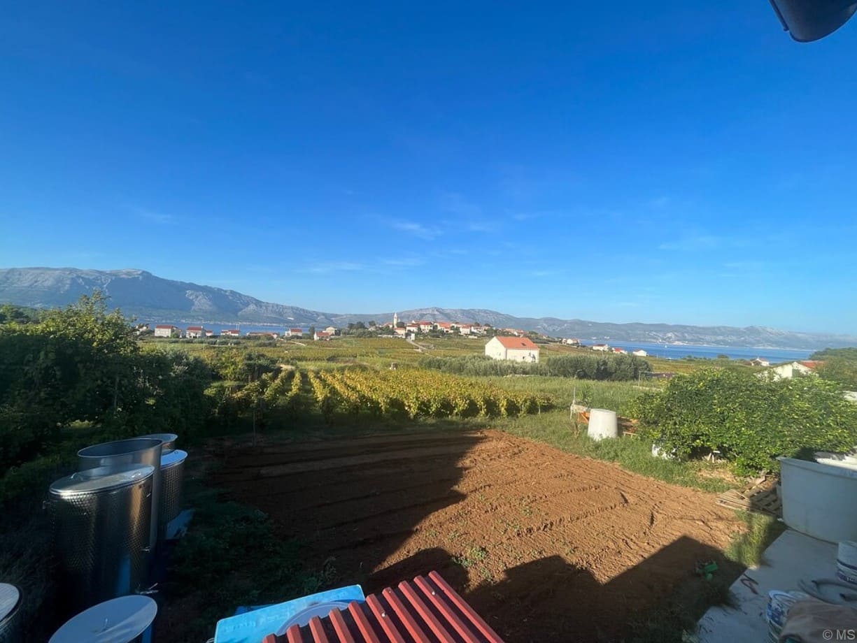 Vignobles de Lumbarda sur l'île de Korčula