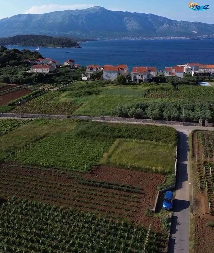vignobles lumbarda korcula paysage