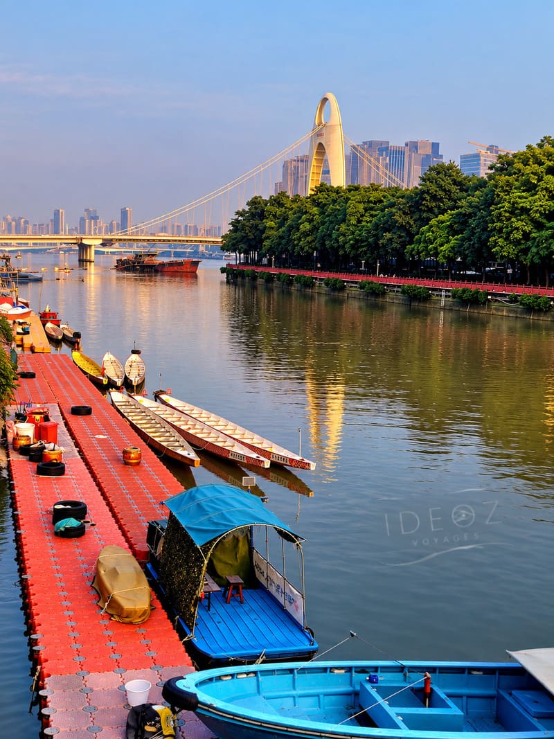 Racines aériennes d'un banyan au bord de la rivière des Perles à Guangzhou