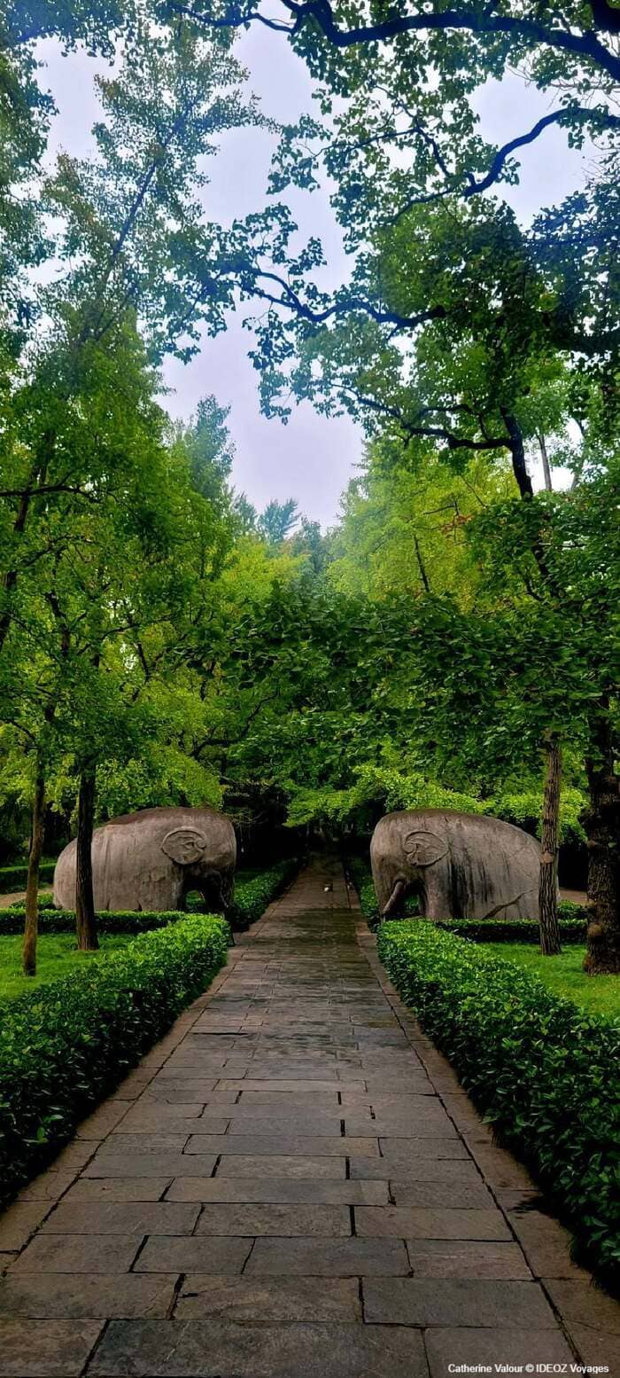 Deux éléphants monumentaux en pierre bordant la Voie sacrée du mausolée Xiaoling à Nankin
