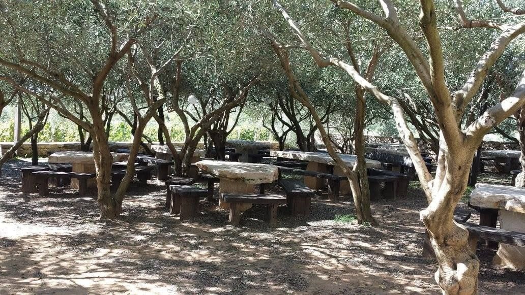gospodarstvo roca terrasse oliviers