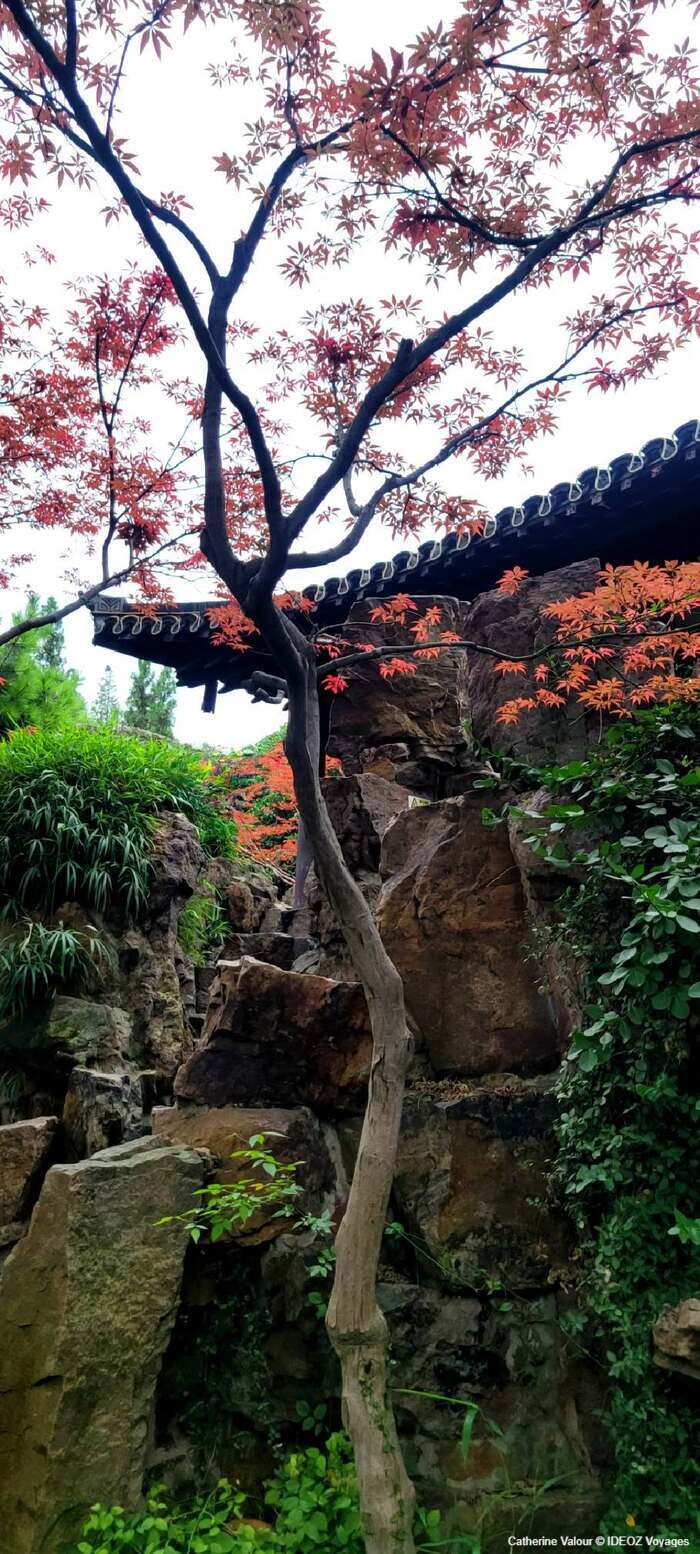 yangzhou jardin chinois impressions automnales