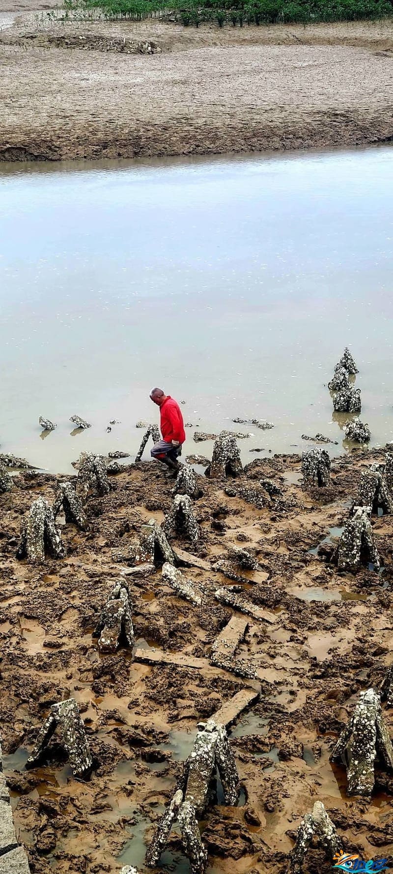 marée basse sur les berges de quanzhou