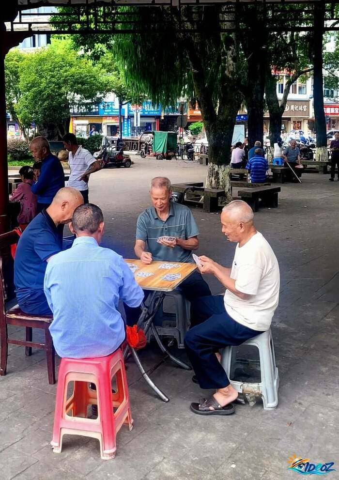 taining hommes jouant aux cartes sous les arbres